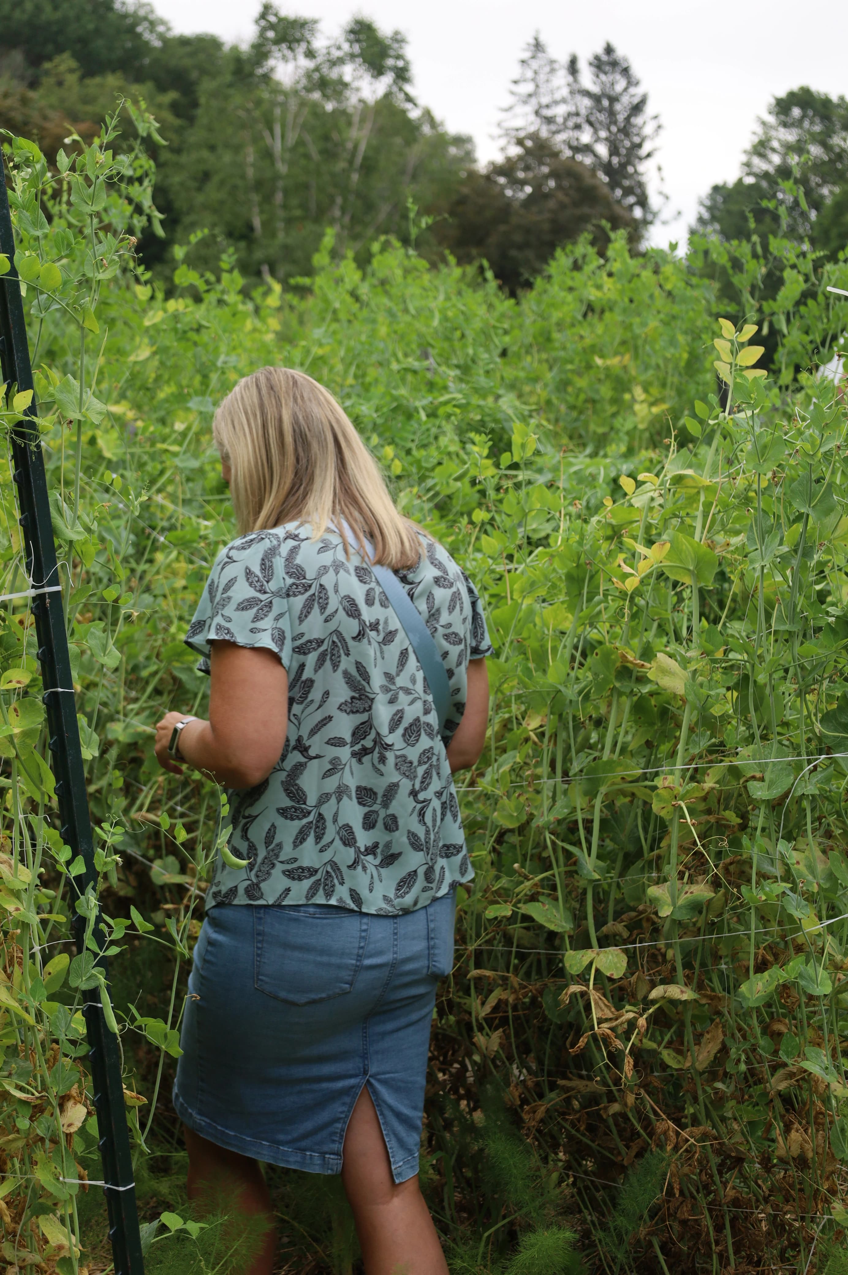 First summer retreat — photo 4